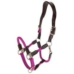 Covalliero Cordano Headcollar - Light Berry