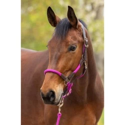 Covalliero Cordano Headcollar - Light Berry