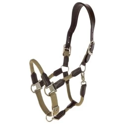 Covalliero Cordano Headcollar - Walnut