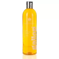 Carr & Day & Martin Gallop Colour - Chestnut & Palomino