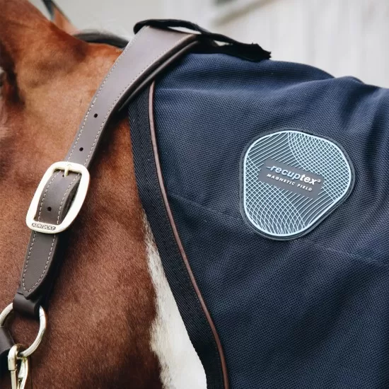 Kentucky Horsewear Magnetic Neck Recuptex Horse Rugs image