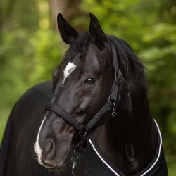 Covalliero Halter - Black