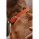 Kentucky Dogwear Plaited Dog Collar- Orange image