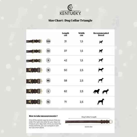 Kentucky dogwear wool collection dog collar - Grey image