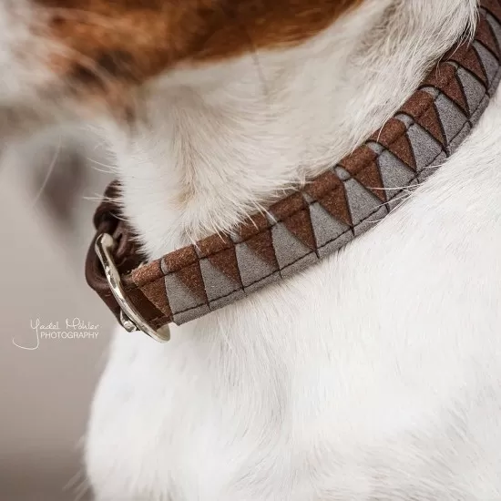 Kentucky dogwear dog collar 'triangle' Dog collars image