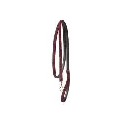 Kentucky dogwear plaited dog lead- Bordeaux