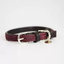 Kentucky dogwear plaited dog collar- Bordeaux
