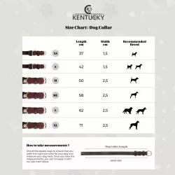 Kentucky dogwear Reflective dog collar