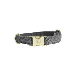 Kentucky dogwear wool collection dog collar - Grey