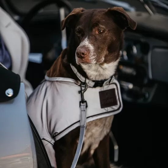 Kentucky dogwear Reflective dog lead image