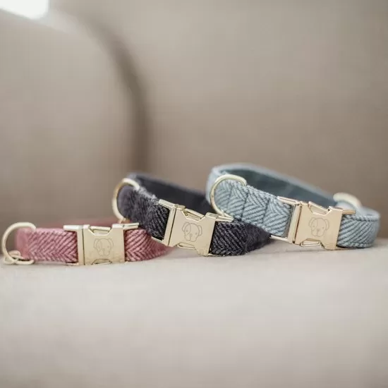 Kentucky dogwear wool collection dog collar - Grey image