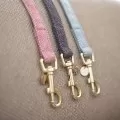 Dog Leads