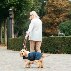 Kentucky dogwear Velvet leather dog lead 