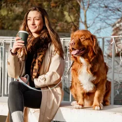 Kentucky dogwear Velvet collection dog lead - Light Blue