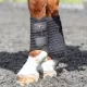 Equilibrium Stretch & Flex Flatwork Wraps - Black image