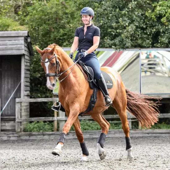 Equilibrium Stretch & Flex Flatwork Wraps - Black image