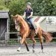 Equilibrium Stretch & Flex Flatwork Wraps - Black image