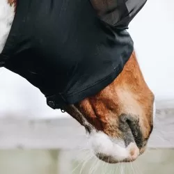 Kentucky horsewear slim fit fly mask - Black