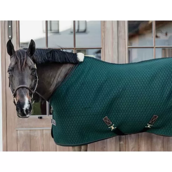 Kentucky Horsewear 4D Spacer Cooler Sheet - Pine Green image