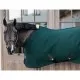 Kentucky Horsewear 4D Spacer Cooler Sheet - Pine Green image
