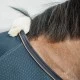 Kentucky Horsewear Mesh Combo Cooler Sheet - Navy Horse Rugs image