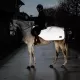 Kentucky Horsewear Reflective Riding Rug image