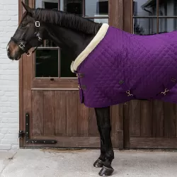 Limited Edition Kentucky Horsewear Show rug - Royal Purple 