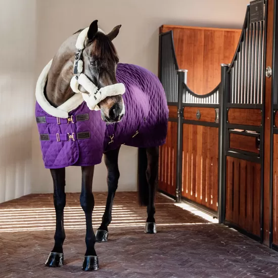 Limited Edition Kentucky Horsewear Show rug - Royal Purple image