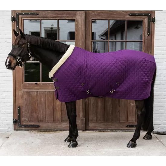 Limited Edition Kentucky Horsewear Show rug - Royal Purple image