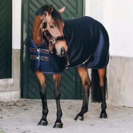 Kentucky 3D Spacer Cooler Sheet - Navy Horse Rugs image