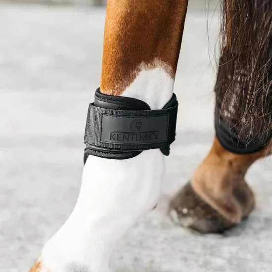 Kentucky Young Horse Fetlock Boots Air - Black image