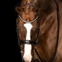 Mrs Ros Galaxy Silver Double Bridle - Black