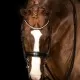 Mrs Ros Galaxy Silver Double Bridle - Black image