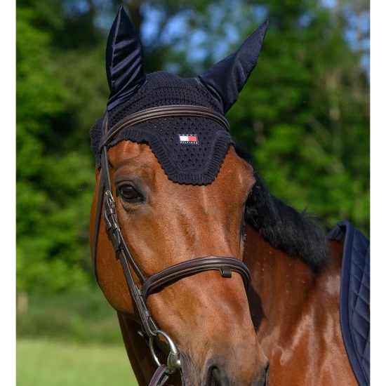 Tommy Hilfiger Lexington Fly Hood Desert Sky image