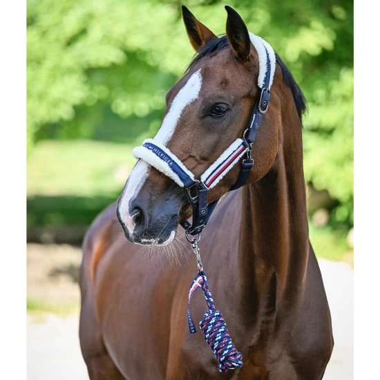 Tommy Hilfiger Yale Set Faux Fur Halter & Rope Desert Sky image