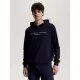 Tommy Hilfiger Mens Williamsburg Graphic Hoodie Desert Sky image