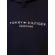 Tommy Hilfiger Mens Williamsburg Graphic Hoodie Desert Sky image