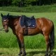 Tommy Hilfiger Princeton Dressage Saddlepad Desert Sky image
