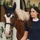 Tommy Hilfiger Emory Fly Veil - Desert Sky image