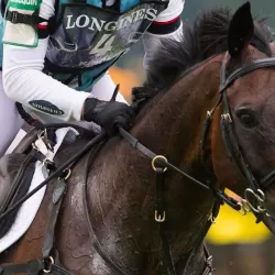 Woof Wear Event riding Gloves