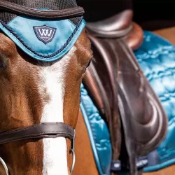 Woof Wear Ocean Vision Fly Veil