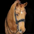 Horse Bridles