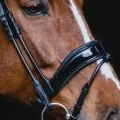 Bridle Parts
