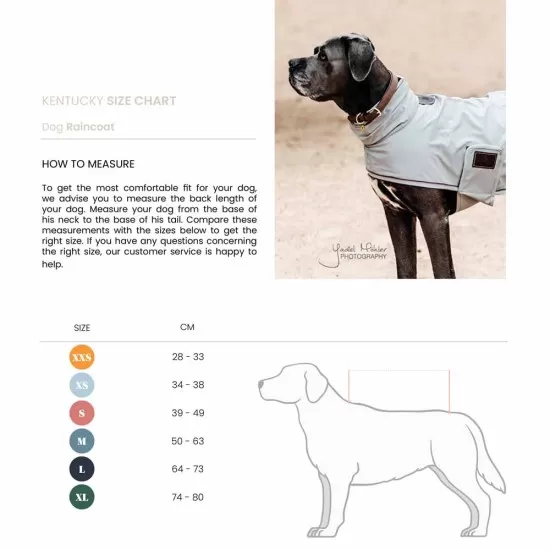 Kentucky dogwear Rain dog coat image