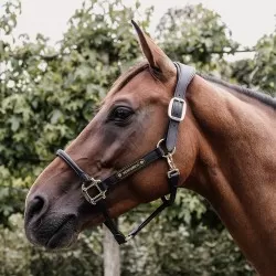 Kentucky Horsewear Anatomic leather headcollar 