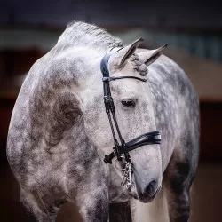 PS of Sweden Passage Non-Patent Noseband Double bridle