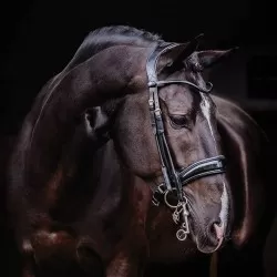 PS of Sweden Passage Patent Noseband Double bridle
