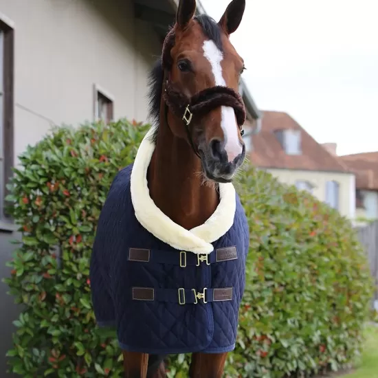 Kentucky Horsewear Show Rug - Navy Horse Rugs image