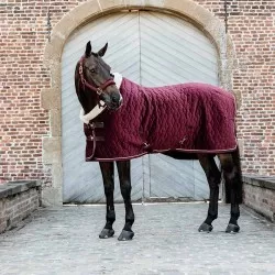Kentucky Horsewear Bordeaux Velvet Show Rug