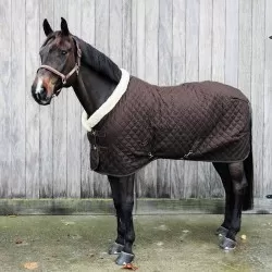 Kentucky Horsewear Show rug - Brown